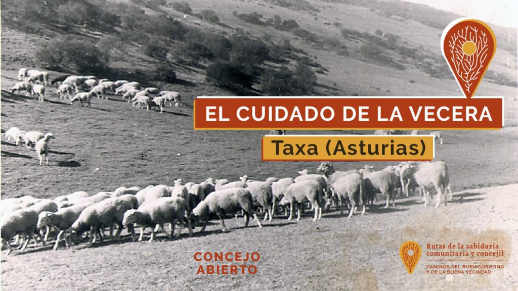 El cuidado de la vecera. Taja, Asturias.
