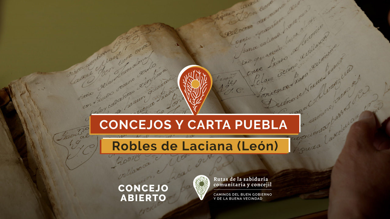 Concejos y Carta puebla