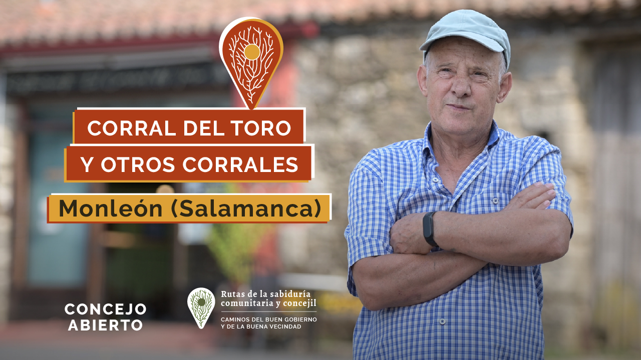 Corral del toro y otros corrales