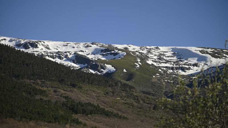 candelario_hojas-4